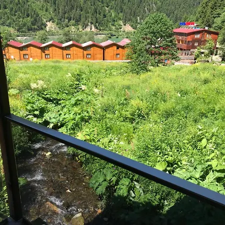 Hotel Faraksi Bungalow & 2*