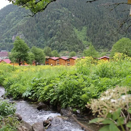 Hotel Faraksi Bungalow & Uzungol