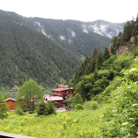 Hotel Faraksi Bungalow & Uzungol