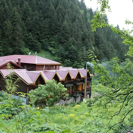 Faraksi Bungalow & 2*