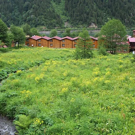 Faraksi Bungalow & Uzungol